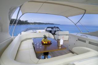 Motor Yacht Stinray M -  Flybridge